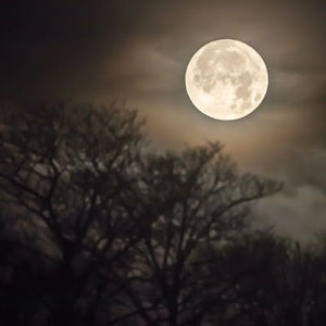 Meet your Posher, Jay